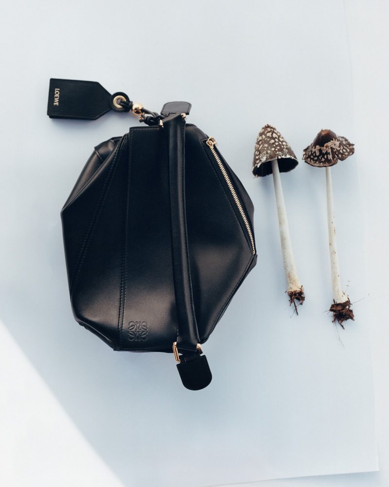 Loewe Featherlight Puzzle 4