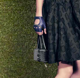 Louis Vuitton Resort 2012 (14)