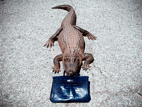 Tyler Shields Hermes Birkin 1
