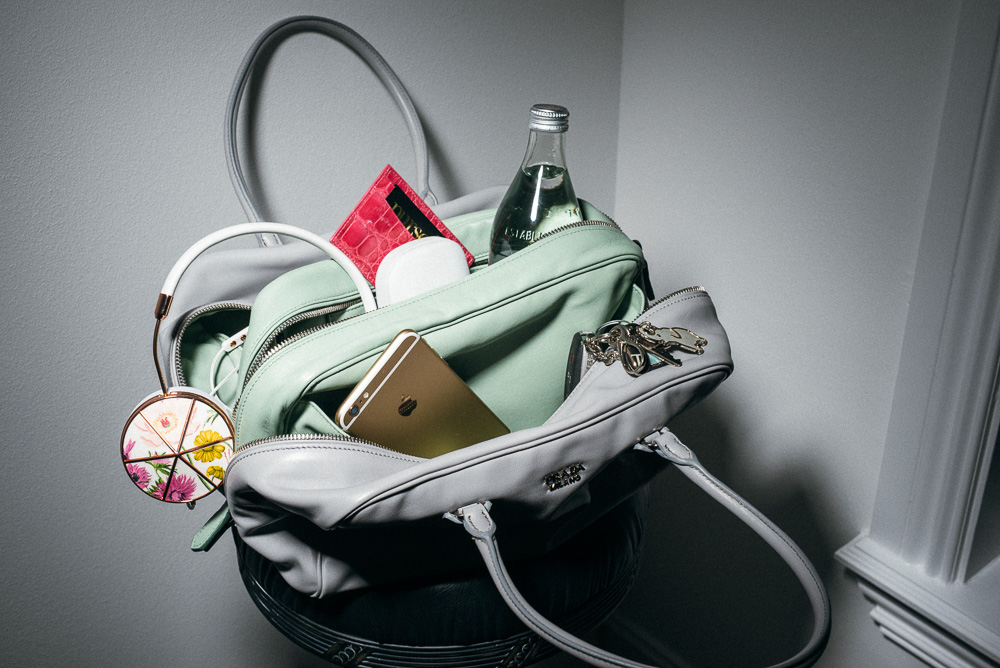 Praise For The Prada Inside Bag