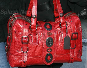 Rebecca Romijn Style: Coach Ostrich Lily