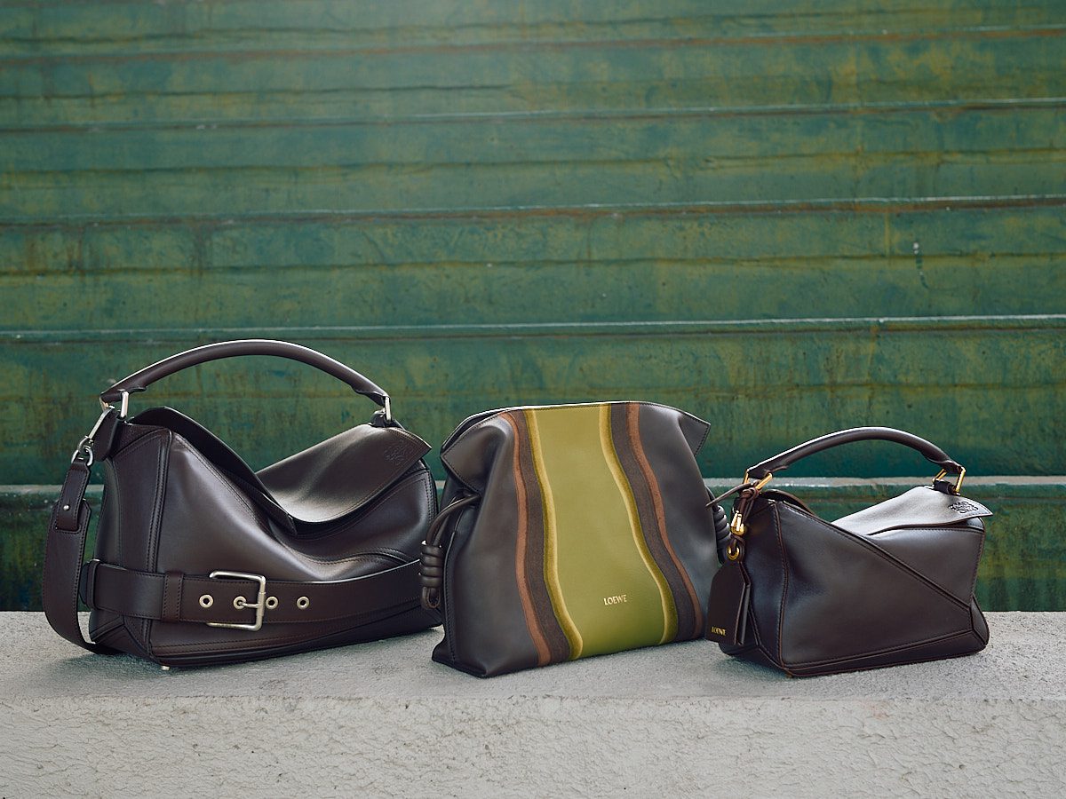 The 4 Bags From Loewe Pre-Fall 2025 That I Love Most