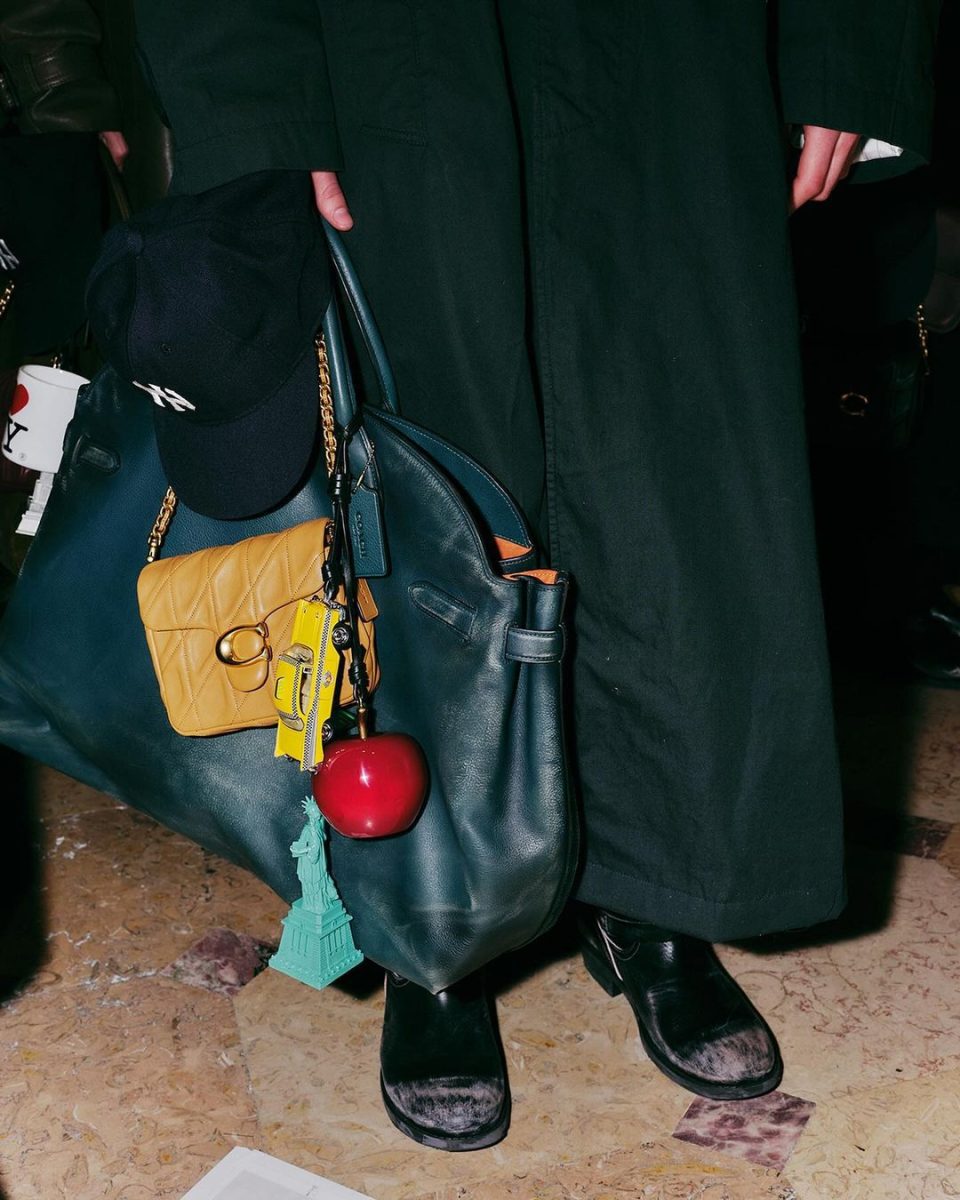 Coach Carryall 3
