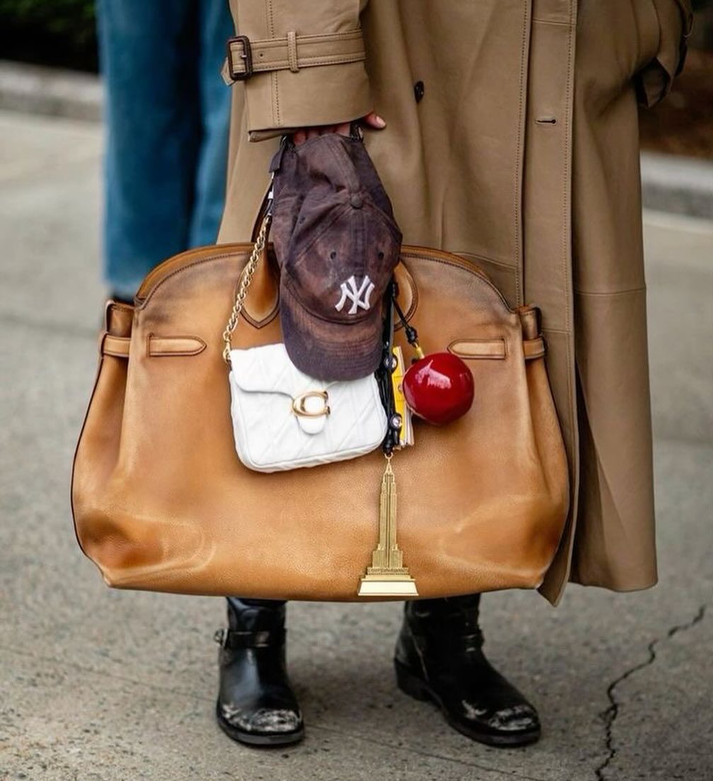 Coach Carryall 6