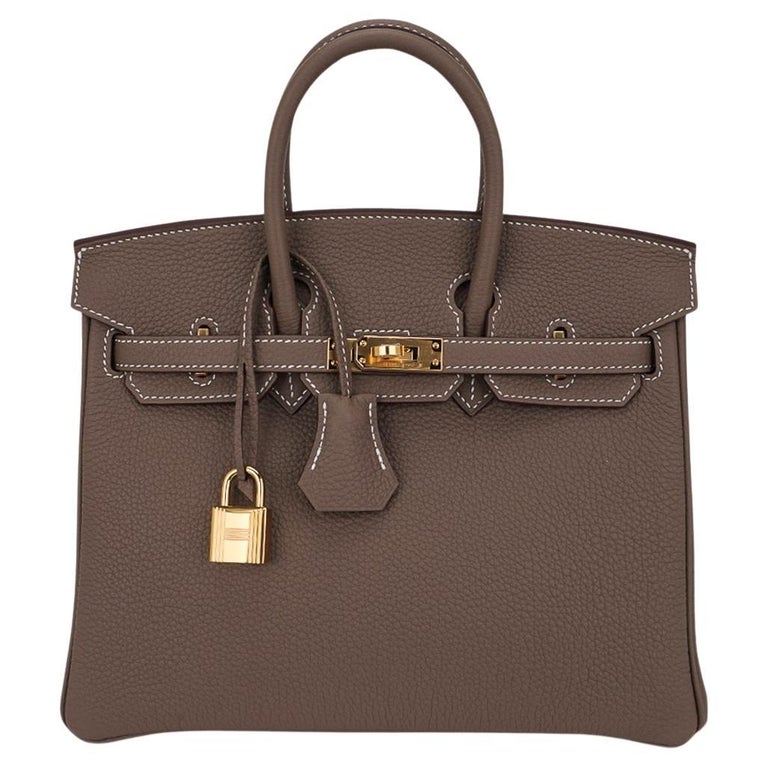 Hermes Birkin 25 Bag Etoupe Togo Leather and Gold Hardware Neutral Perfection