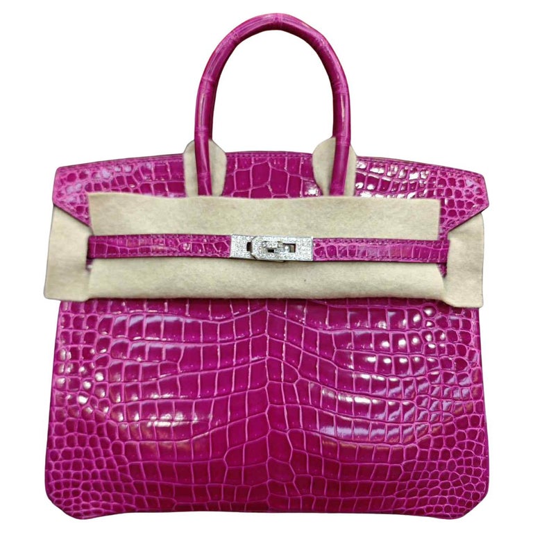 Hermes Birkin 25 Shiny Crocodile Porosus white gold with diamonds bag