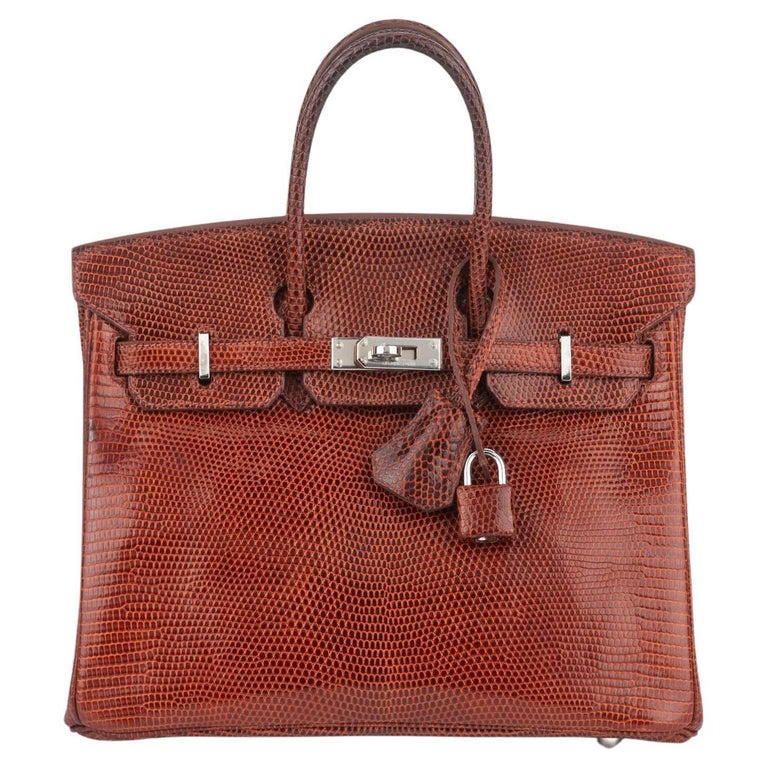 Hermès Birkin 25 Brique Lizard Palladium