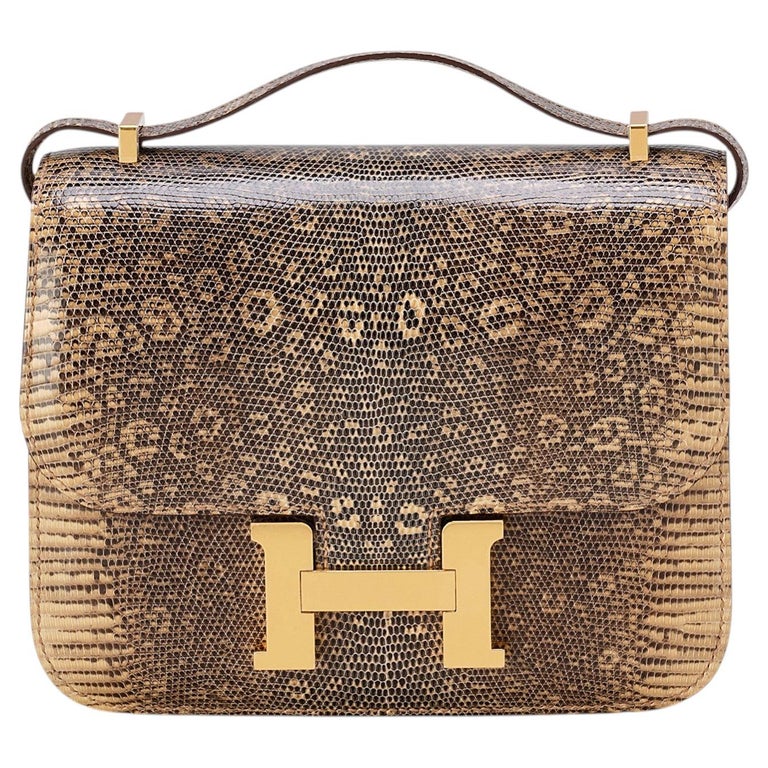 Hermès Constance Mini 18 Ombré Lizard Gold Hardware