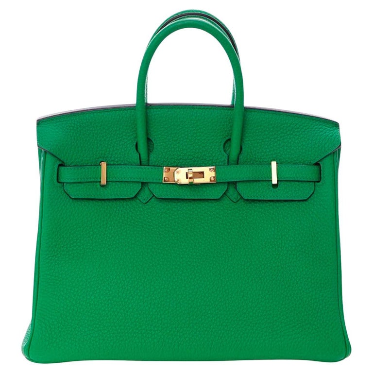 Hermès Birkin 25 Bambou Togo Leather With Gold Hardware Handbag Y Stamp 2020