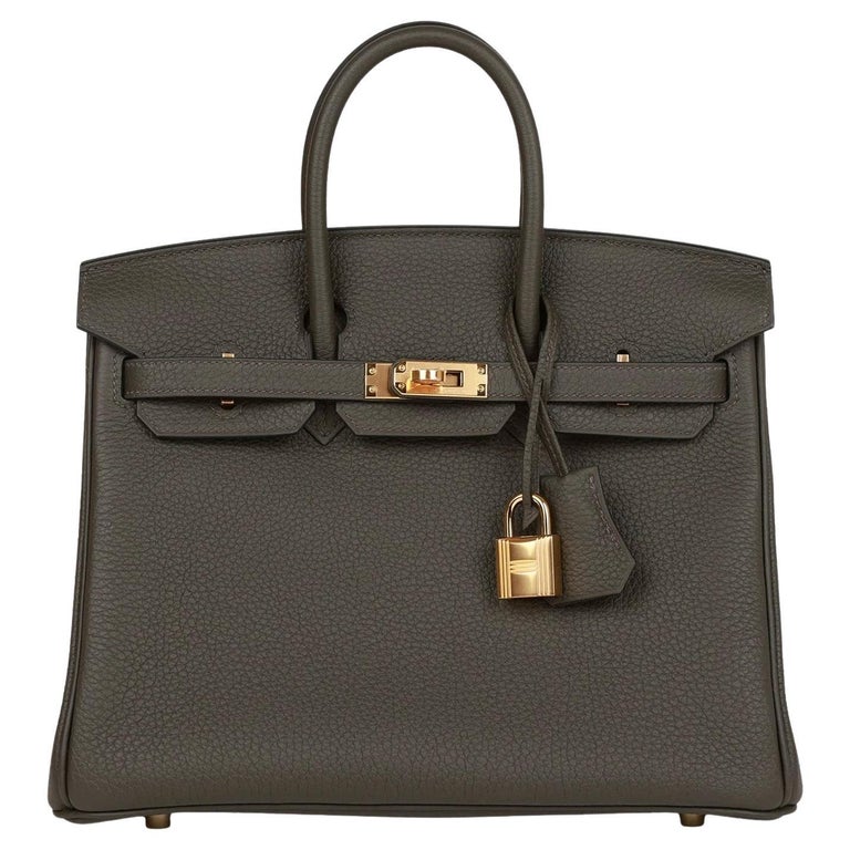 Hermès Birkin 25 Vert De Gris Togo Leather With Gold Hardware Handbag
