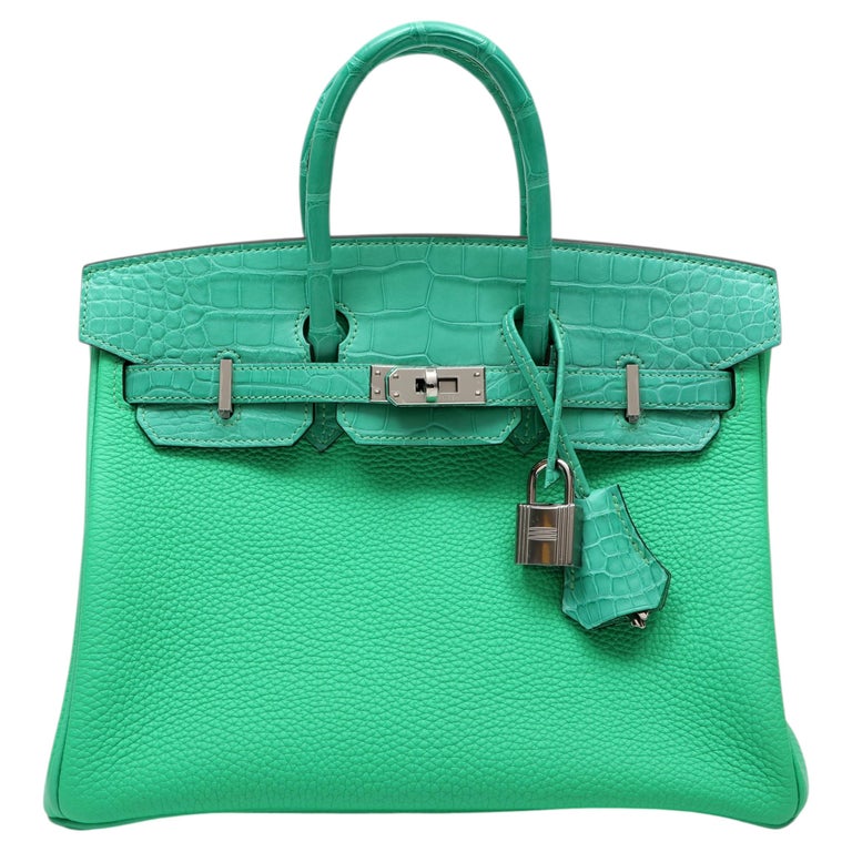 Hermès Birkin 25cm Vert Comics Togo & Alligator Touch w/Palladium Hardware