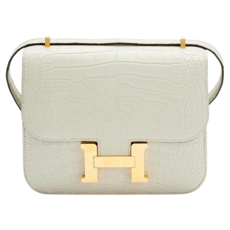 Hermès Gris Neve Mississippi Matte Alligator Mini Constance 18
