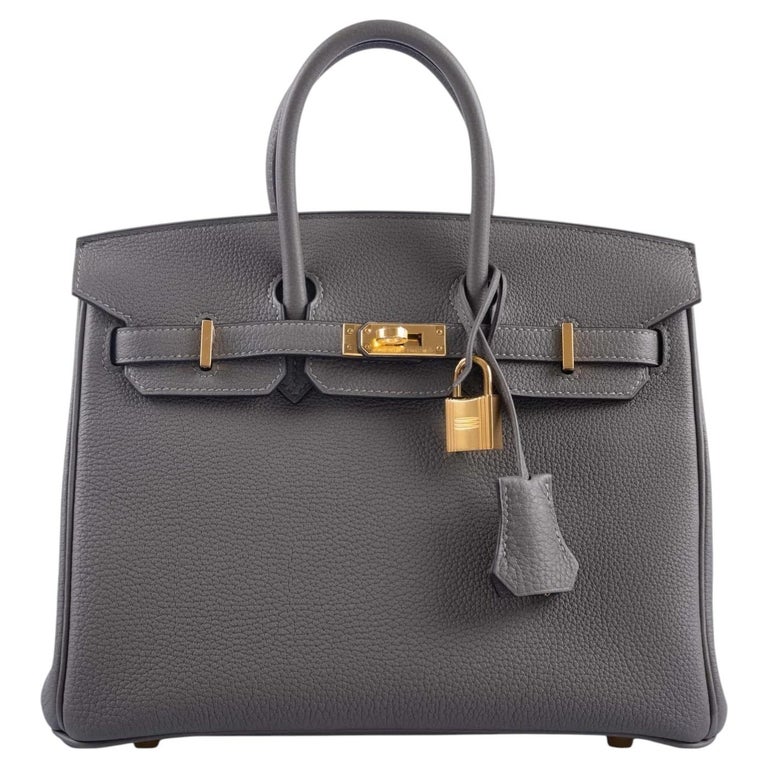 Hermès Birkin 25 Gris Meyer Togo Leather With Gold Hardware Handbag