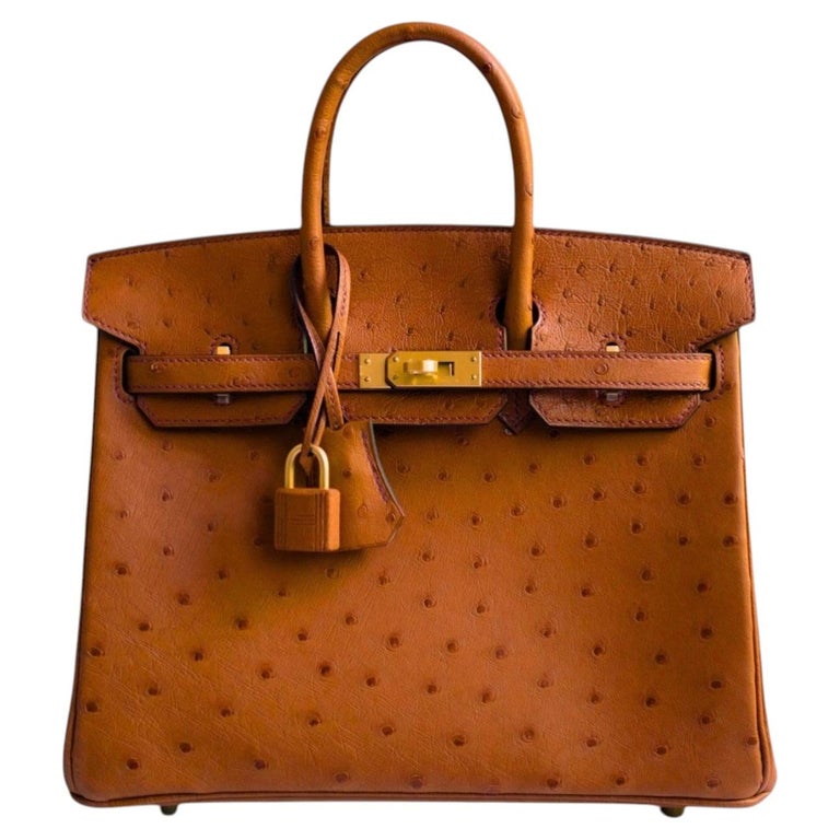 Hermès Birkin 25 Cognac Ostrich Leather Gold Hardware G Stamp 2026