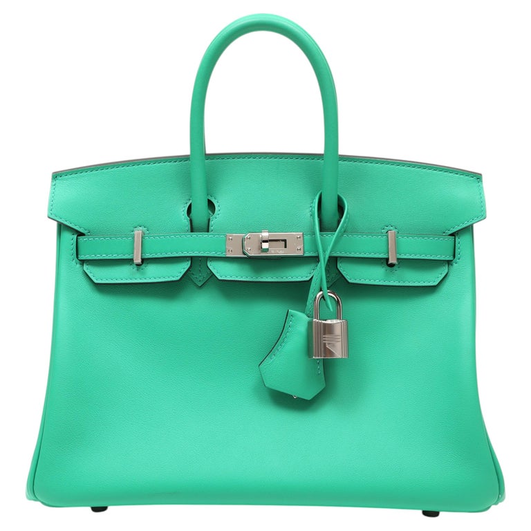 Hermès Birkin 25cm Vert Menthe Swift w/Palladium Hardware