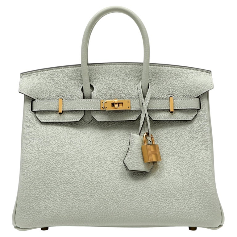 Hermès Birkin 25cm Gris Neve Togo Leather w/Gold Hardware