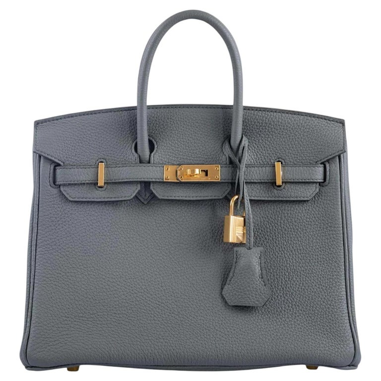 Hermès Birkin 25 Vert Amande Togo Leather With Gold Hardware Handbag