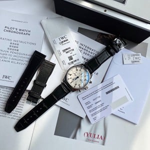 Preisführer für IWC-Golduhren: Qualität und Parameter des Portugal-Chronographen