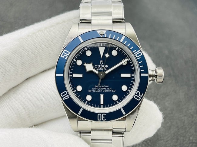 ZF Tudor