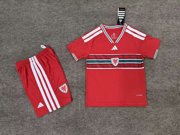 Wales National Team Home field 2026World Cup jersey set Children's jersey Soccer uniform Clothing Shorts 16-28  2-13 YEARS