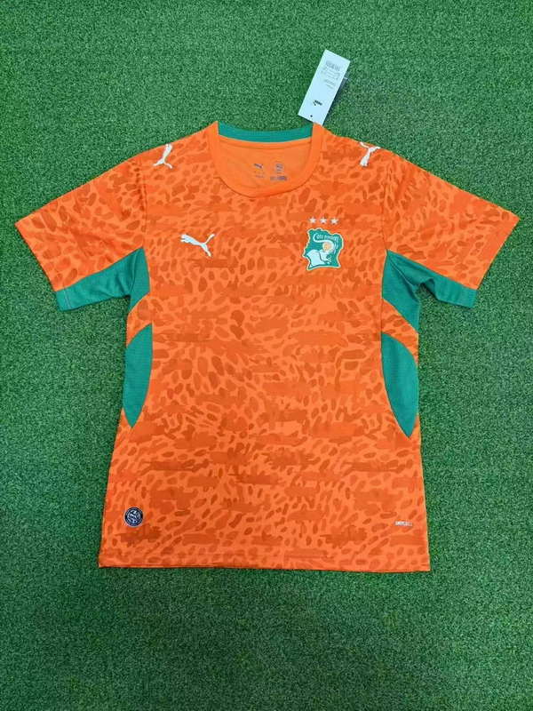 2026World Cup football jersey Clothing Jersey Côte d'Ivoire Home field Elephants S-4XL